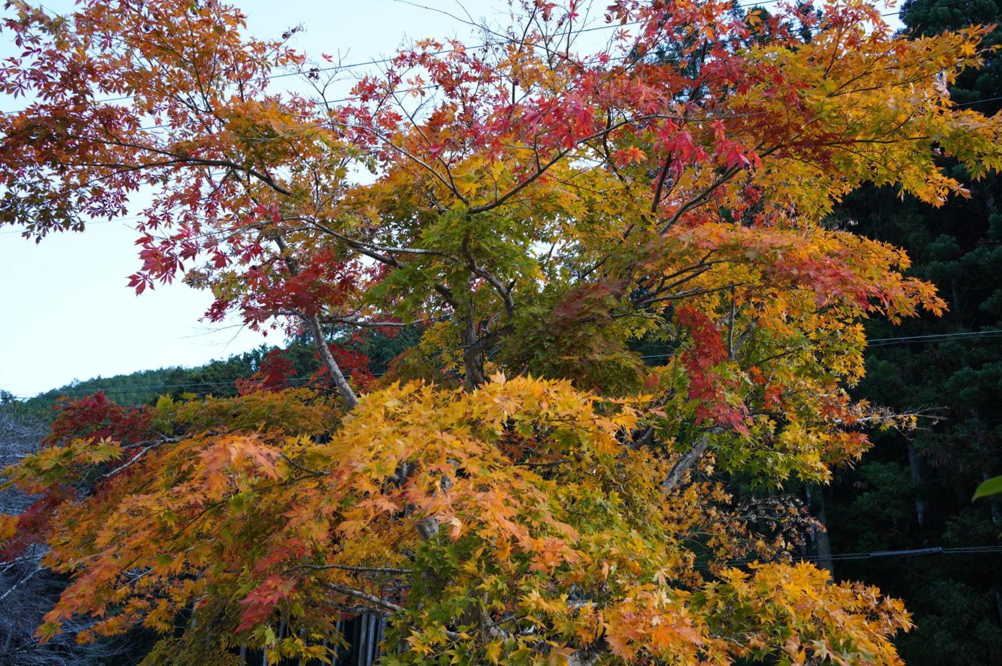 Satoyama Hotel Kanenone Tamba Maibara Exterior photo